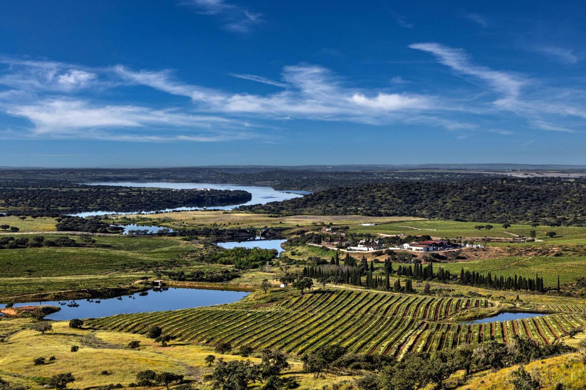 Herdade Do Sobroso Wine & Luxury Boutique Hotel Pedrogao  Exterior photo