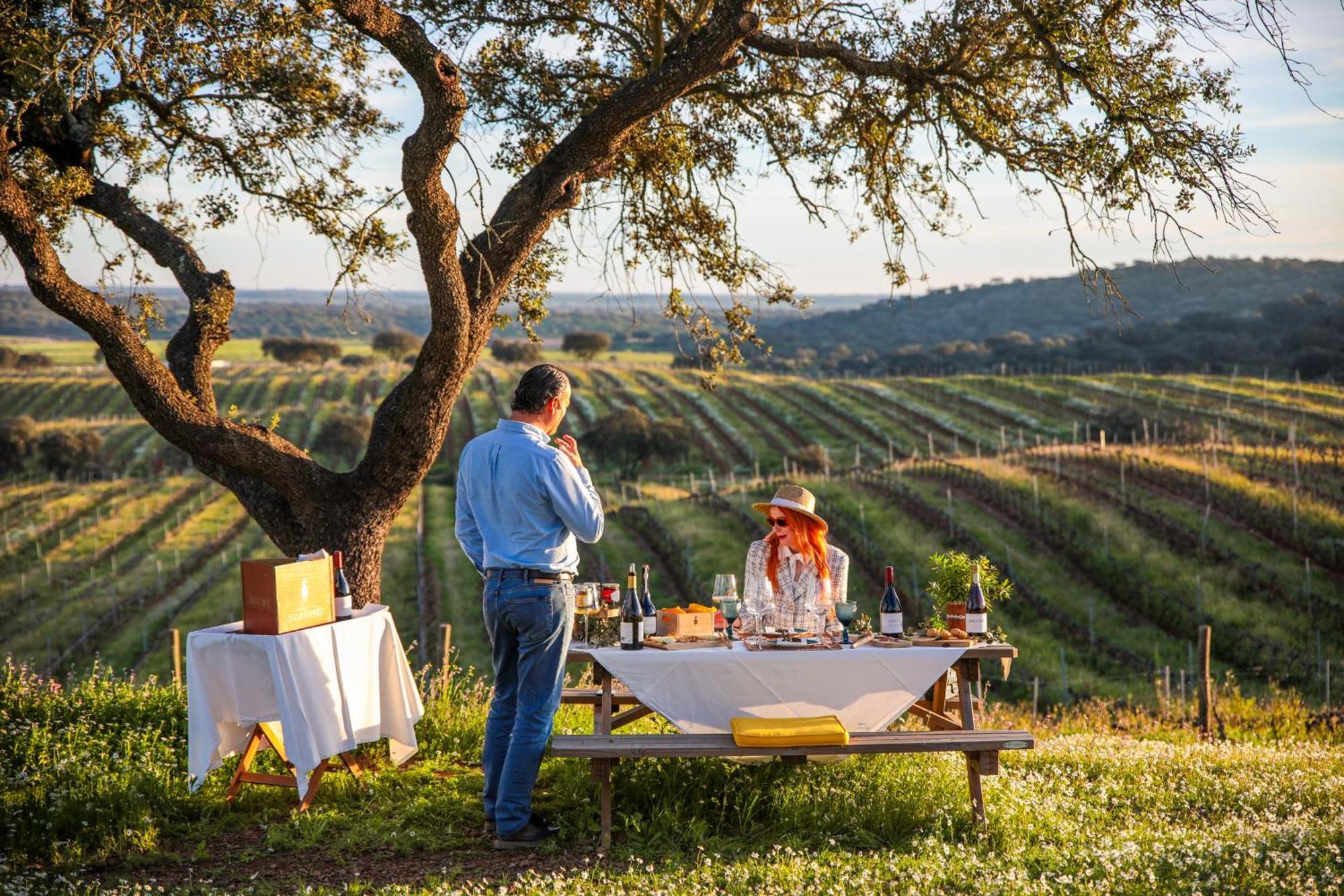 Herdade Do Sobroso Wine & Luxury Boutique Hotel Pedrogao  Exterior photo