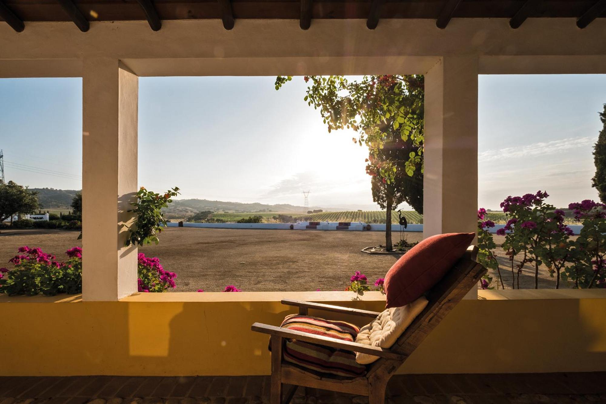 Herdade Do Sobroso Wine & Luxury Boutique Hotel Pedrogao  Exterior photo