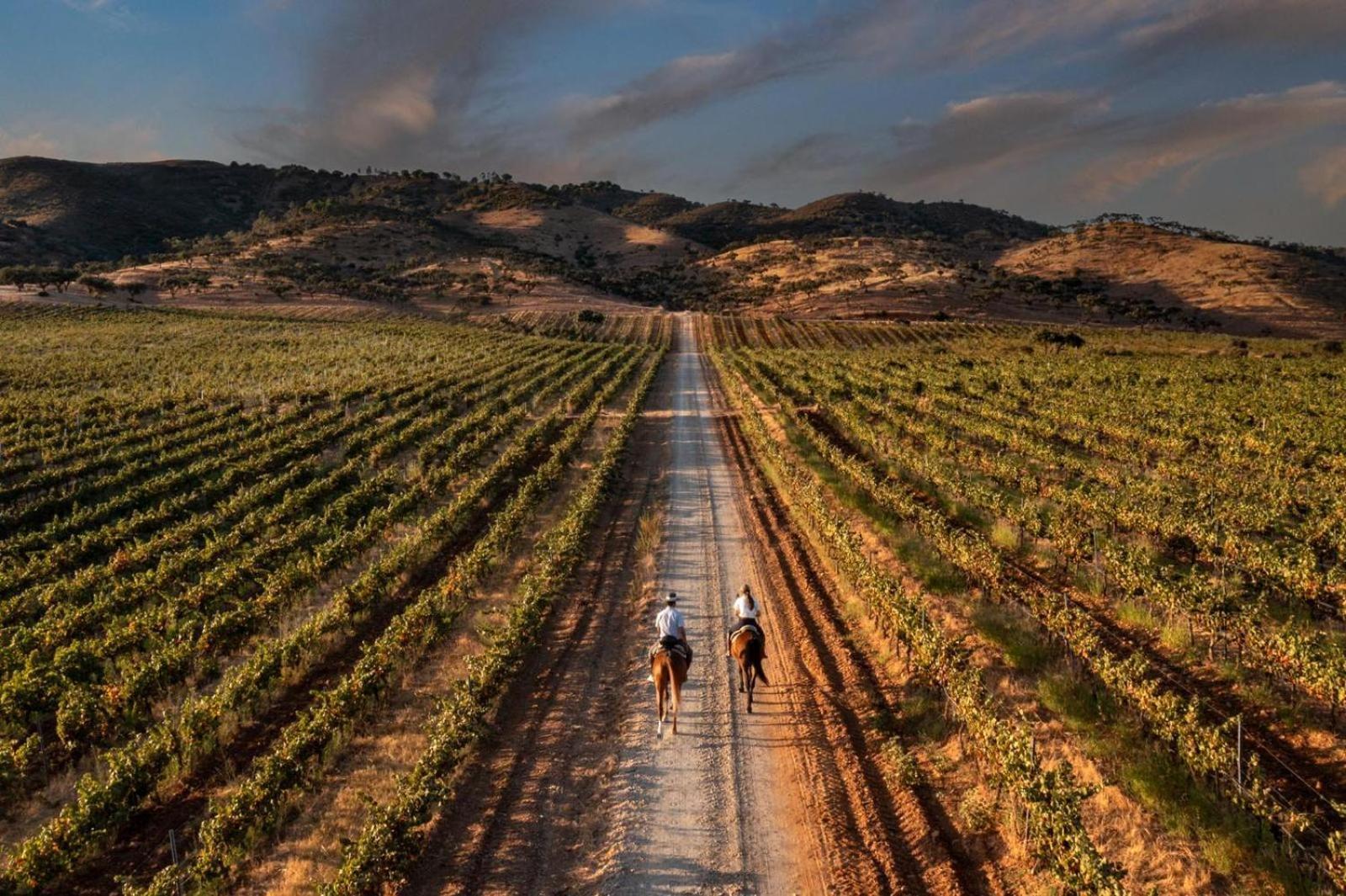 Herdade Do Sobroso Wine & Luxury Boutique Hotel Pedrogao  Exterior photo