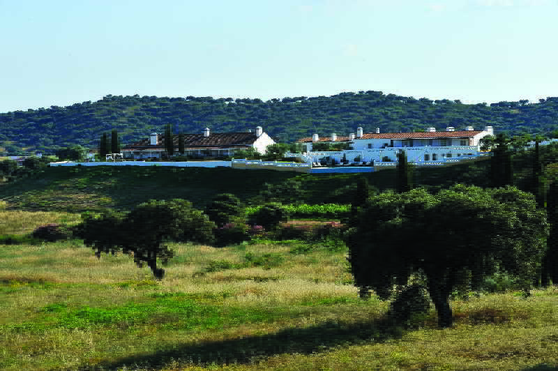 Herdade Do Sobroso Wine & Luxury Boutique Hotel Pedrogao  Exterior photo
