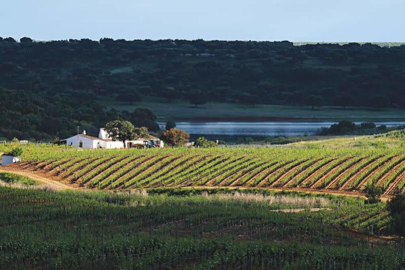 Herdade Do Sobroso Wine & Luxury Boutique Hotel Pedrogao  Exterior photo