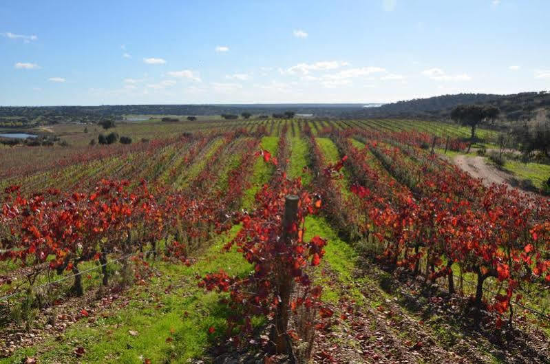 Herdade Do Sobroso Wine & Luxury Boutique Hotel Pedrogao  Exterior photo