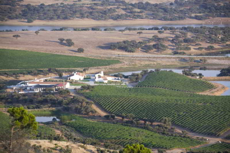 Herdade Do Sobroso Wine & Luxury Boutique Hotel Pedrogao  Exterior photo